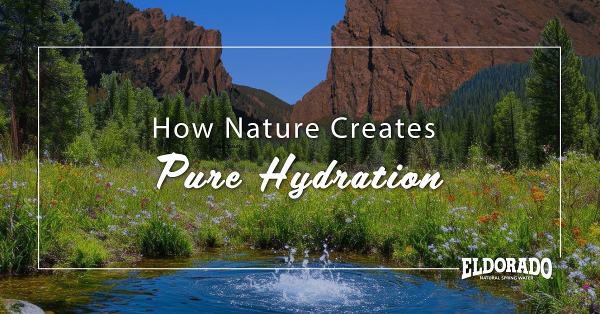 How Nature Creates Pure Hydration